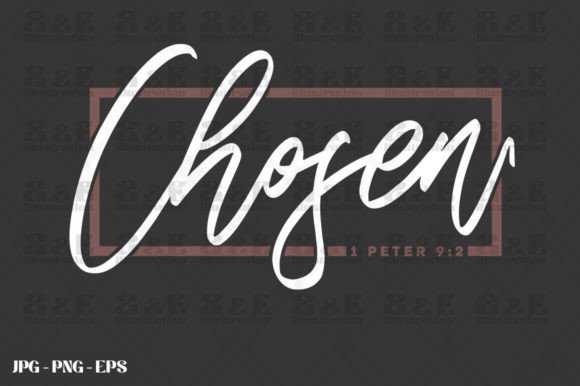 Chose in Him: 1 Peter Scripture Design Review